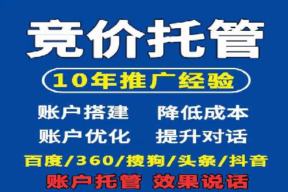 某电商平台的SEM投放全流程案例